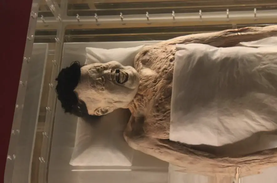 Discover the incredible story of Lady Dai, the world's best-preserved mummy with blood still in her veins after 2000 years, and the science behind it. #Mummy #AncientHistory #Archaeology #ScienceFacts