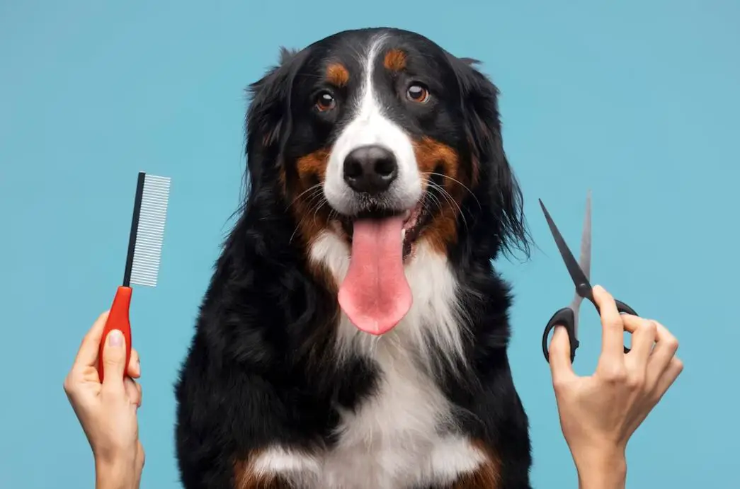 7 Benefits of Building a Pet Grooming Business