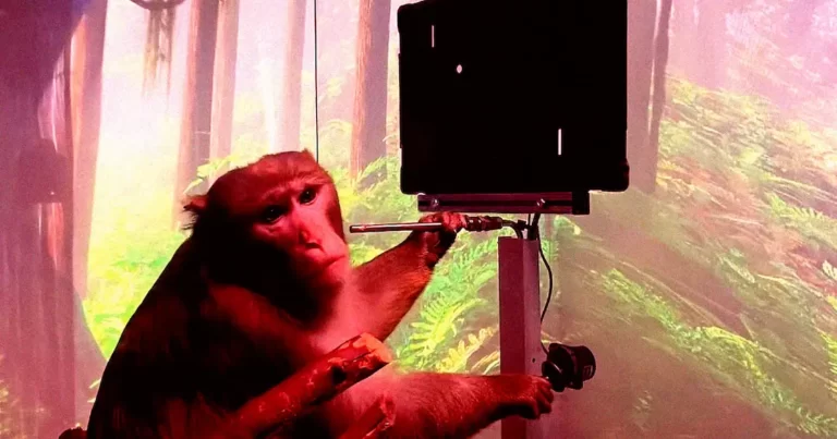 Terrible Things Happened to Monkeys After They Had Neuralink Implants – That’s Horrifying!