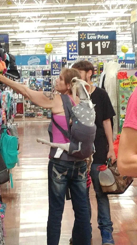 66 Of The Wildest “People Of Walmart” Photos To Prove That It’s A Place Like Nowhere Else