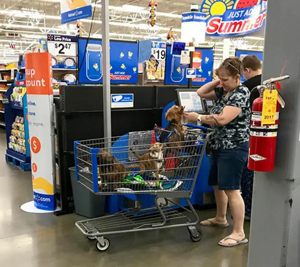 66 Of The Wildest “People Of Walmart” Photos To Prove That It’s A Place Like Nowhere Else