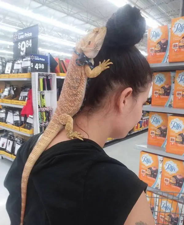 66 Of The Wildest “People Of Walmart” Photos To Prove That It’s A Place Like Nowhere Else