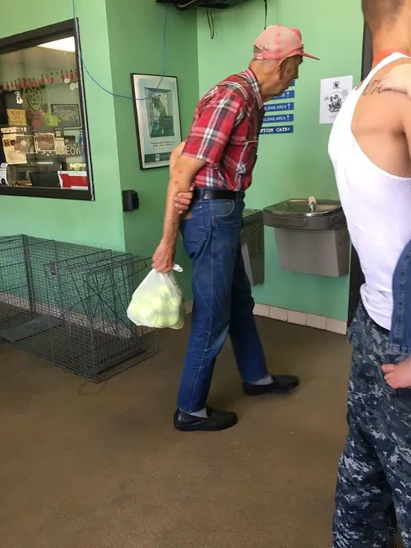Unforgettable Moment When An Old Man Unveils His Bag At The Animal Shelter