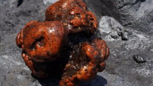 This valuable substance, worth an astonishing £425,000, was found nestled within the digestive system of a sperm whale that had washed up on La Palma's Nogales beach, making headlines on July 12, 2023.