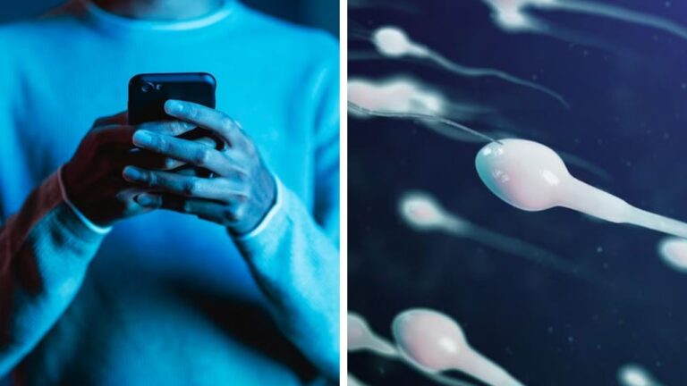 Radiation from Mobile Phones Decreases Sperm Count – Recent Study Sheds Light!