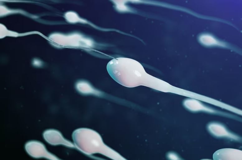 Discover the alarming findings of a recent study on mobile phone radiation's impact on male fertility. Learn how your smartphone may be affecting your sperm count. Stay informed on this crucial health concern.
