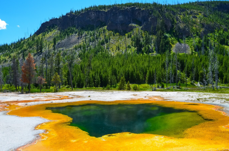 Discover Nature’s Masterpiece: A Guide to Yellowstone National Park