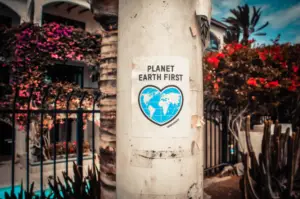 Environmental Awareness and Action Through Education
