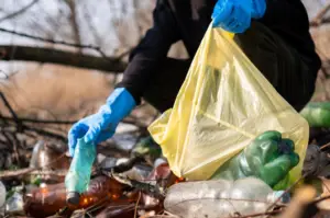 A Green Guide to Managing Waste in Entertainment Capitals