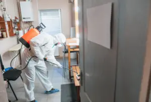 Household pests are a common problem that many homeowners face. From ants marching in a line across your kitchen counter to the eerie sound of rodents scurrying in the attic at night, pests can be both a nuisance and a health hazard. This guide aims to give you the knowledge and strategies needed to combat these unwelcome visitors effectively.