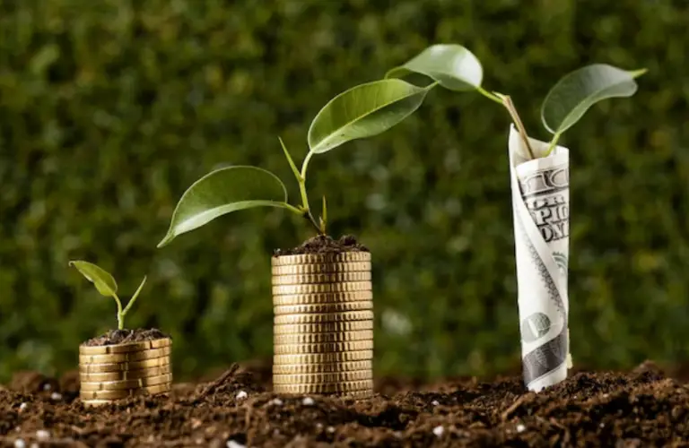 Sustainable Investments: The Rise of Green Financing