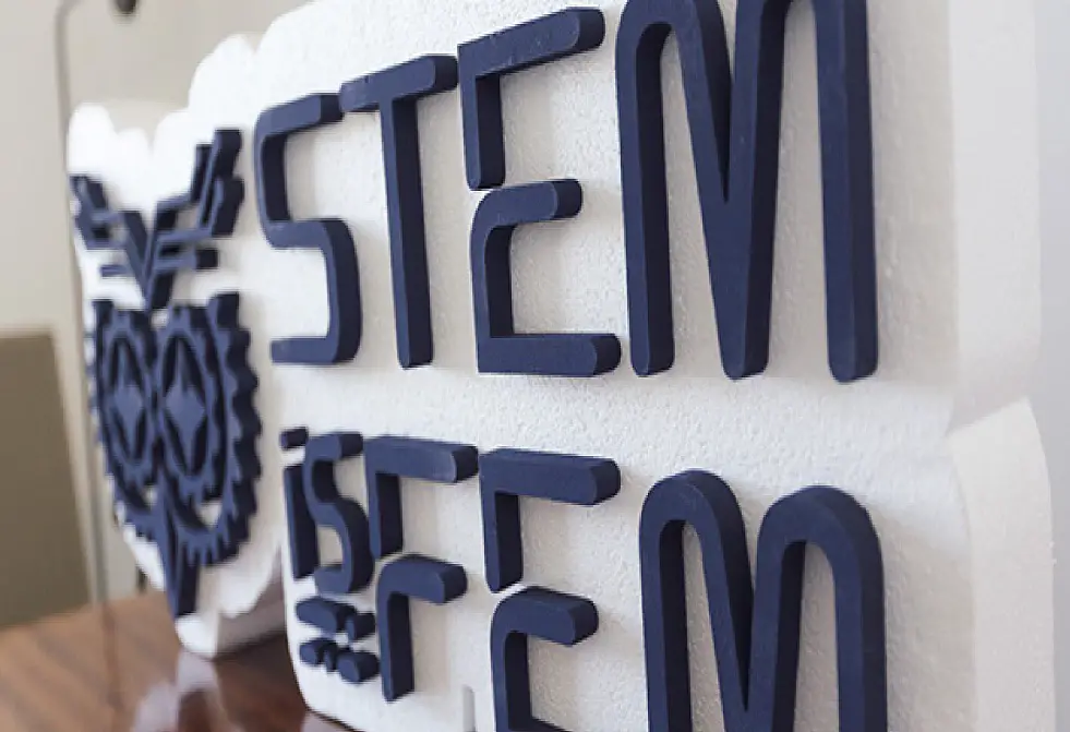 STEM is FEM has been one of the initiatives actively performing in Ukraine since 2019 to encourage young girls to explore science and technology. The initiative announced the creation of the first STEM ecosystem in Ukraine. It will unite people, organizations, and ideas related to education and careers in STEM. Serhii Tokarev, co-founder and partner at Roosh, commented on the project’s main goal and activities.