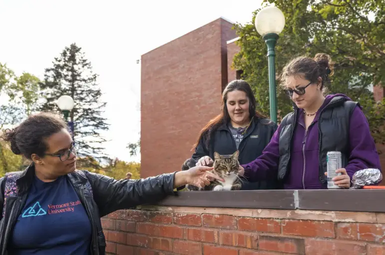 In a purr-fectly delightful twist, Max, a 6-year-old tabby cat, has been awarded an honorary degree by Vermont State University, earning the title of 'Doctor of Litter-ature'.