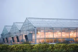 Greenhouses are climate-controlled units that maintain adequate light and heat for plants to grow well and flourish. An enclosed greenhouse will be ideal for places that experience sub-zero temperatures as frost during winter months will kill the plants. Regions with hot climates can use a partially enclosed greenhouse with glazing material that will provide shade from the scorching sun. Although different locations experience varied climates, global warming is stressing local weather drastically. Many regions are witnessing hotter summers and colder winters. To combat this change, a fully equipped and covered greenhouse that can be functional both for winterizing and heat-protectant is practical. 