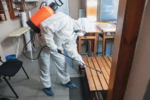 Why is it crucial to seek expert help when handling pest issues in Las Vegas? The desert climate and urban environment create ideal conditions for a variety of pests, making specialized knowledge essential. Let's explore the importance of hiring professionals to keep your home free from unwanted guests in this desert environment.