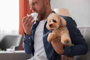 Millions of people cherish their cats and dogs as loyal companions. Yet, for many, these beloved pets bring an unwelcome side effect: allergies.