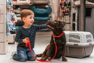 A dog boarding facility allows your pet to interact with other canines to help it overcome loneliness while you are away. Taking your furry friend to a daycare and boarding facility keeps it active, comfortable, and safe. These facilities provide regular video and photo updates, allowing you to check in on your dog to see how it's behaving. Here are the different types of dog boarding services that offer these benefits: