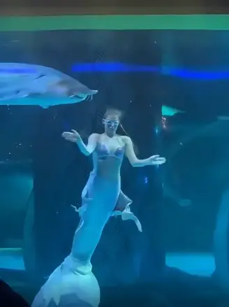 Giant sturgeon tried to swallow a mermaid performer in Chinese aquarium, who was offered £78 (around $96) in “moral damages” Viral video footage captured the terrifying moment, raising concerns about safety in aquarium performances.