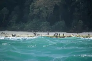 An American tourist, Mykhailo Viktorovych Polyakov, 24, has been arrested after allegedly traveling to North Sentinel Island in the Bay of Bengal, home to the Sentinelese tribe—one of the world’s most isolated communities.