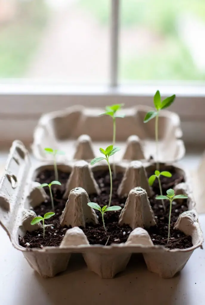 Research shows that the average child can lose more than two months of mathematical knowledge during summer vacation. Hands-on projects give children a practical way to stay engaged without worksheets or screens.